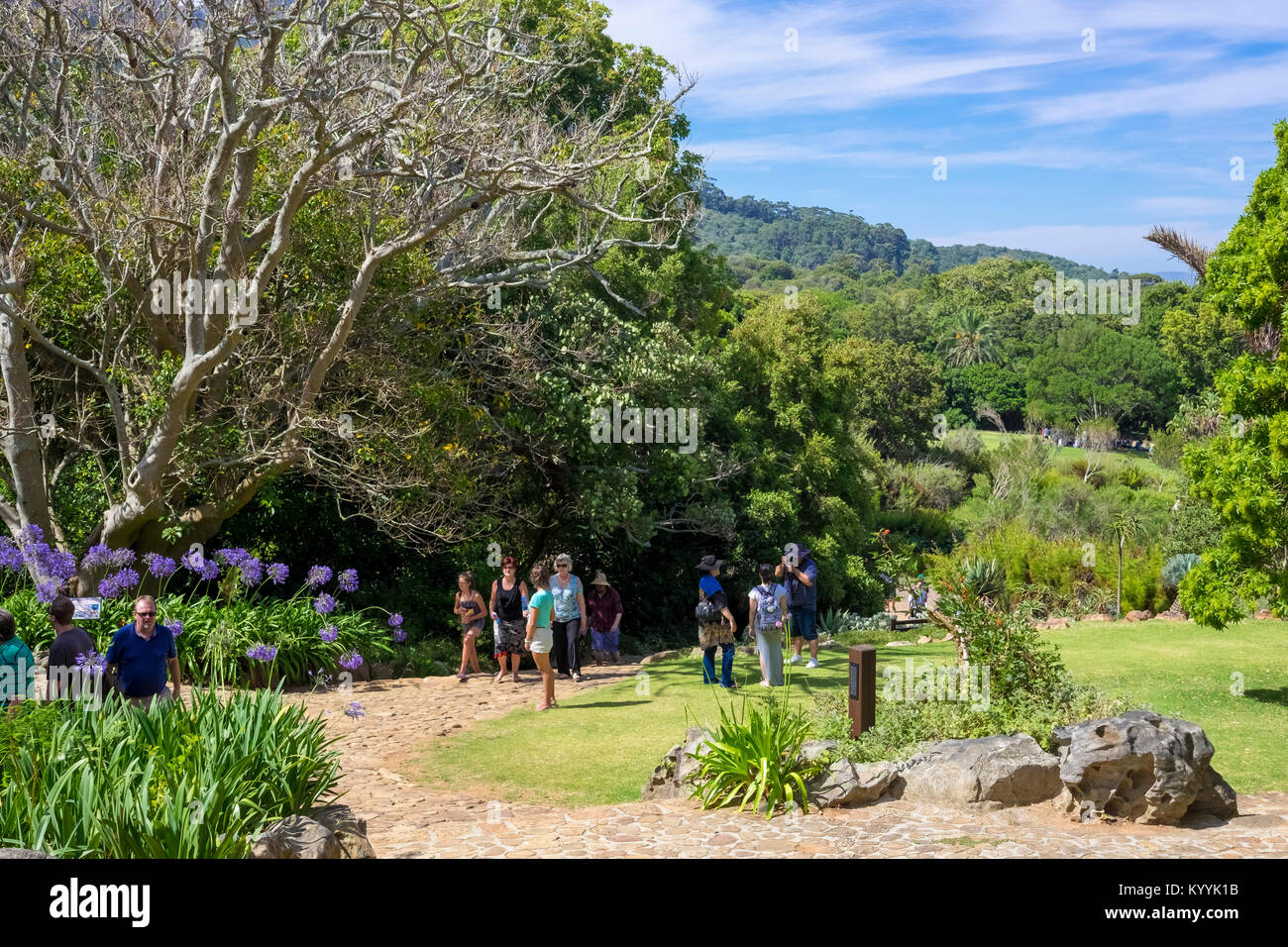 Kirstenbosch National Botanical Gardens, in Newlands, Kapstadt, Südafrika Stockfoto