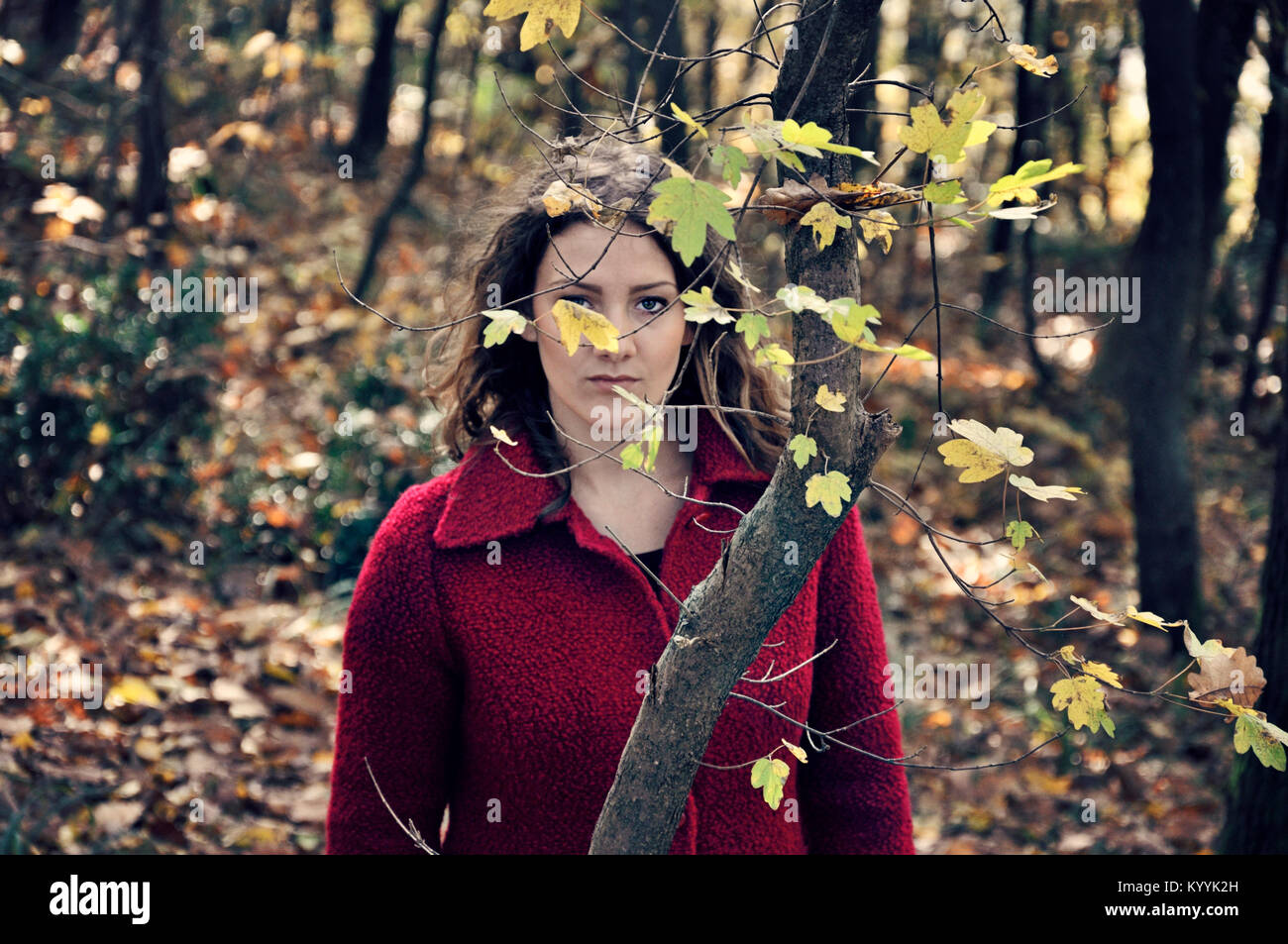 Junge Frau allein im Wald Stockfoto