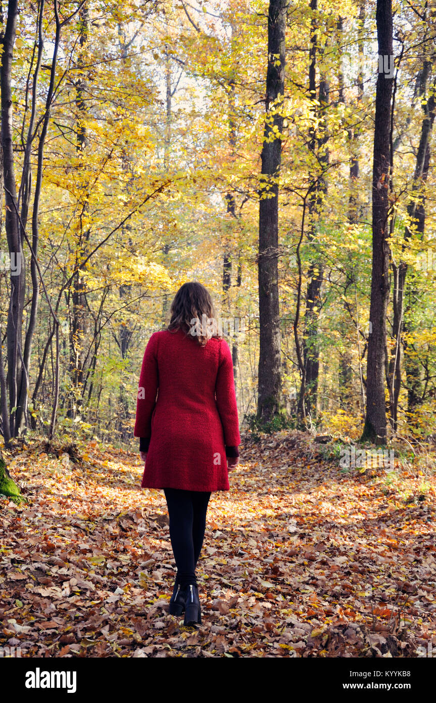 Frau, die auf dem Weg allein im Wald Stockfoto