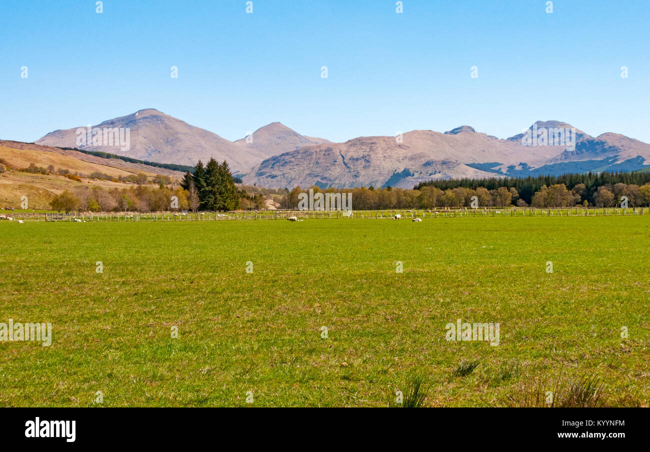 Berge rund um Schaf Bauernhof von West Highland Way in der Nähe von Tyndrum, Schottland Stockfoto