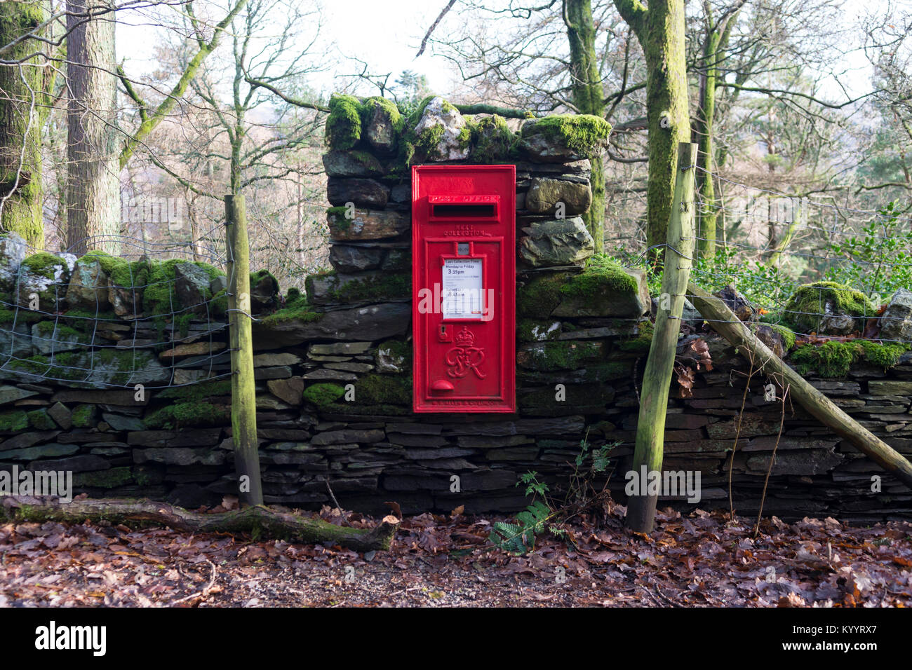 Ländliche Post Box - Lake District, Großbritannien Stockfoto