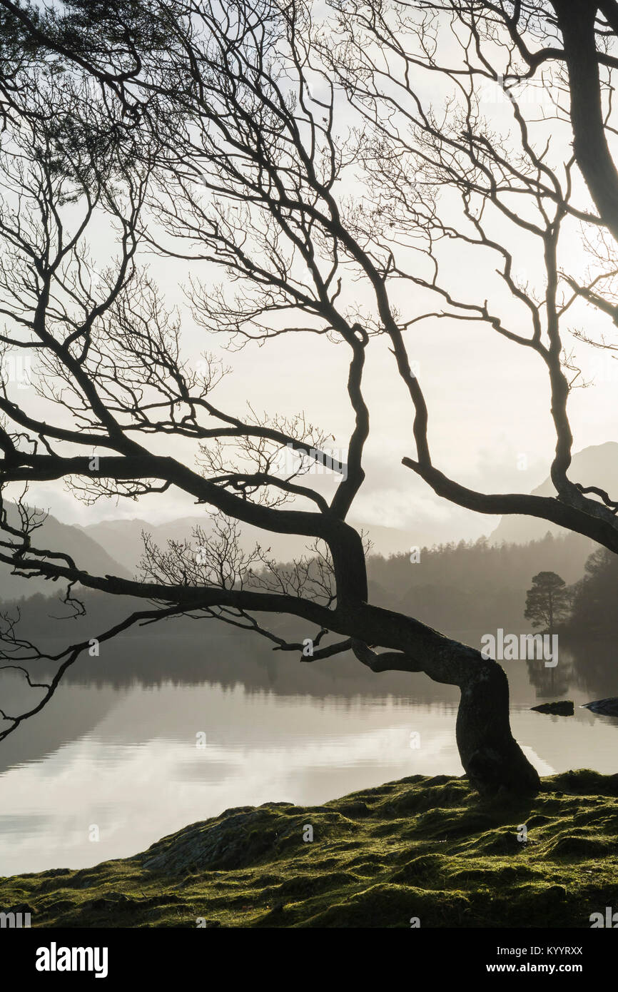 Brandelhow Bucht - Derwent Water - Lake District, Großbritannien Stockfoto