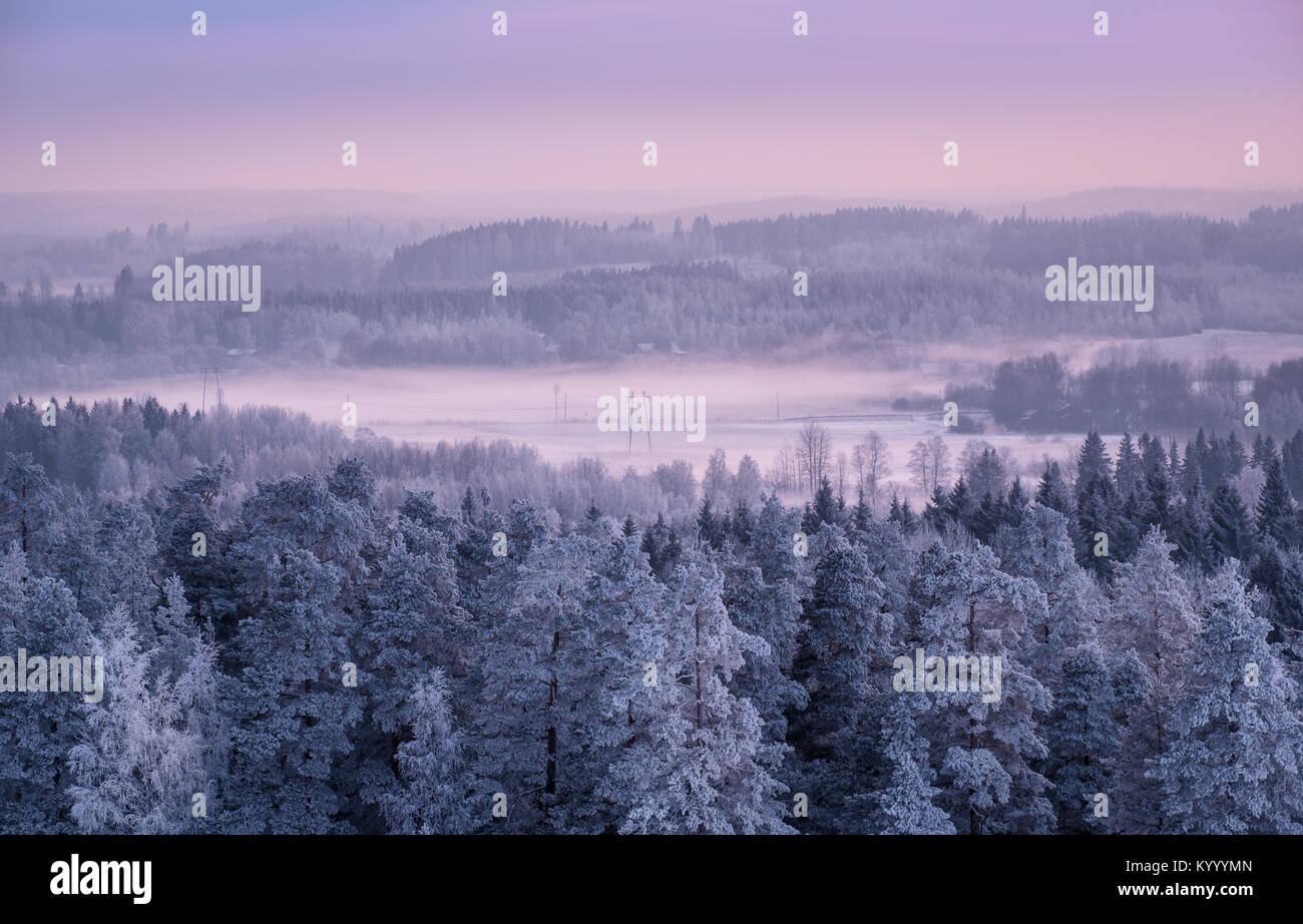 Winterlandschaft mit frostigen Bäumen und neblige Stimmung am Abend Licht in Finnland Stockfoto