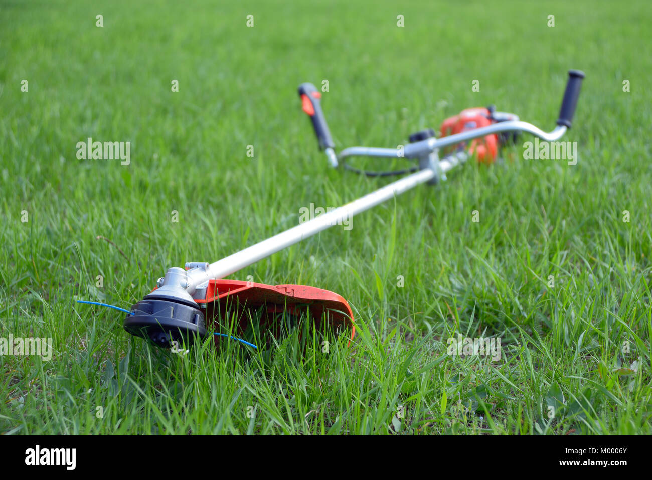 Unkrauttrimmer auf dem Rasen, Fokus Vordergrund Stockfoto