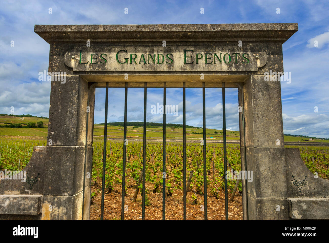 Les Grands Epenots Premier Cru Weinberg Stein Eingangstor Pommard Côte d'Or Burgund Frankreich Stockfoto