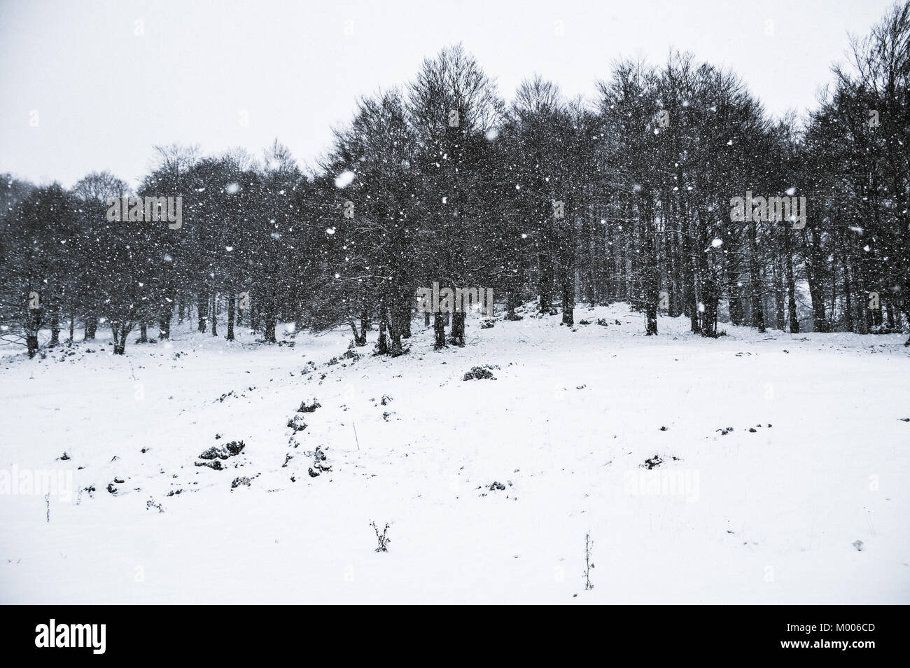 Italienische Winter ist so suggestiv, unglaublichen Ort zu besuchen Stockfoto