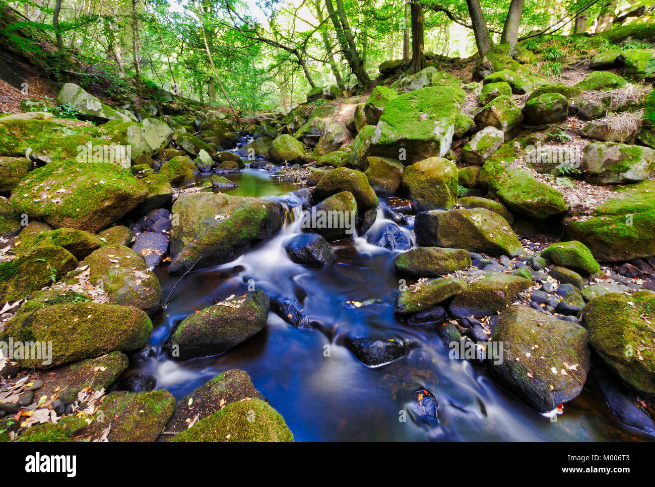 UK Wetter: Blätter im Herbst beginnen zu drehen und in der wunderschönen malerischen Padley Schlucht, Grindleford, Nationalpark Peak District, Derbyshire UK Weath fallen Stockfoto