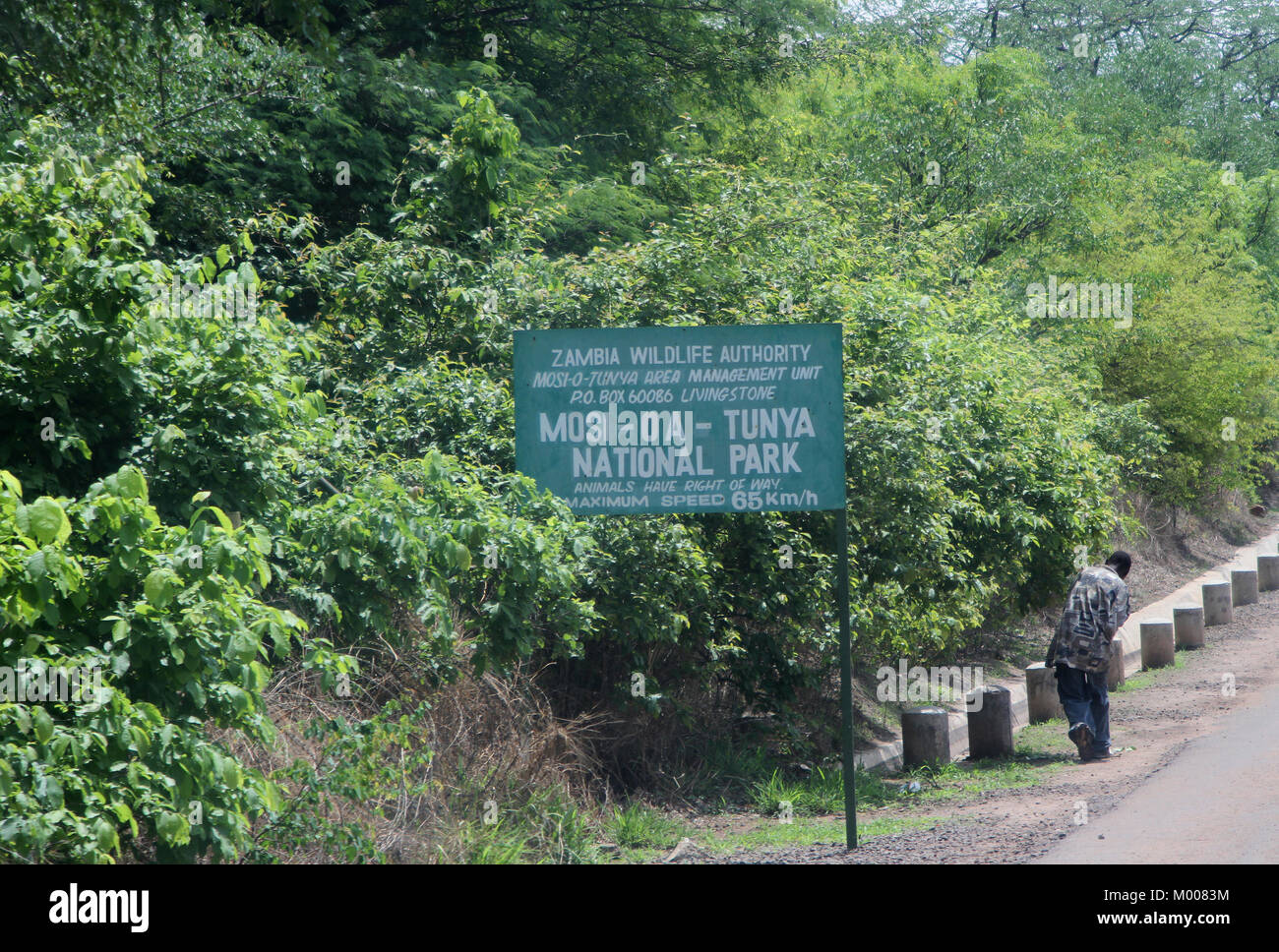 Mann zu Fuß vorbei an Schild mit Geschwindigkeitsbegrenzung und Mosi-Oa-Tunya Nationalpark Eintrag nach Victoria Falls Bridge, Livingstone; Sambia. Stockfoto