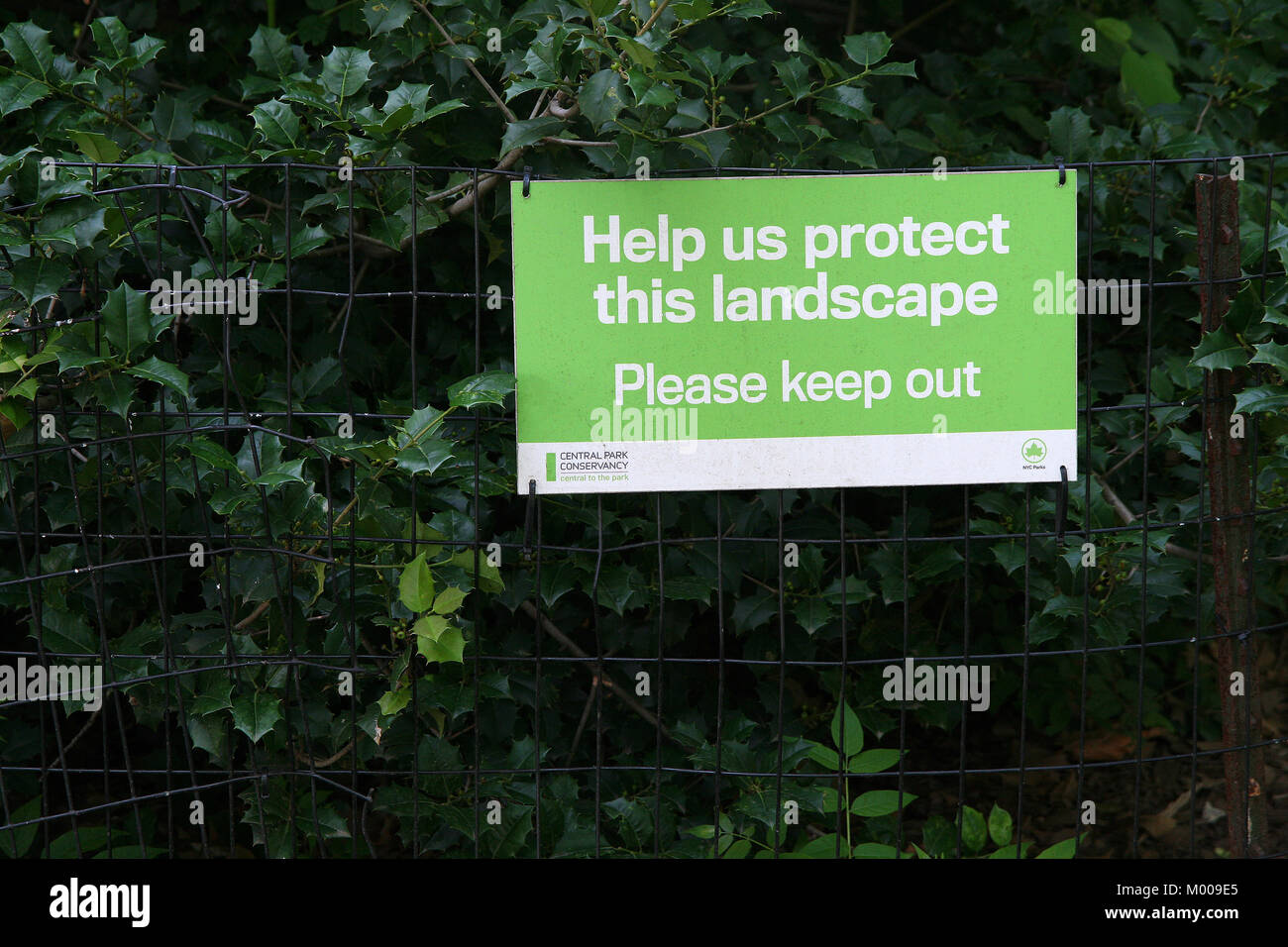 Central Park Einschränkung fernzuhalten Conservancy Schild am Zaun mit Holly Büsche, Stadtteil von Manhattan, New York City, New York State, USA. Stockfoto