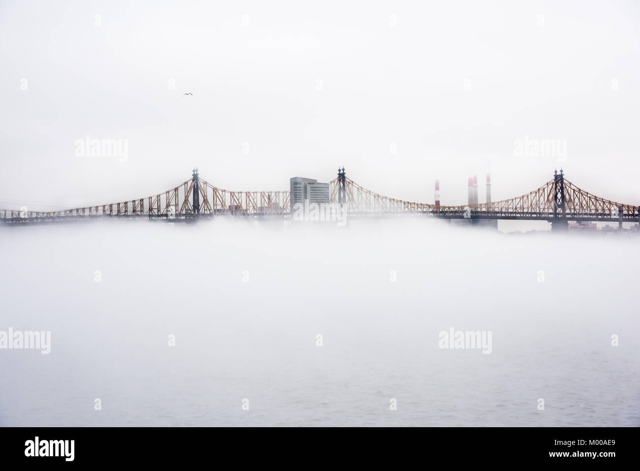 Einem dichten Nebel New York City während der Tag der Winter auf Januar 2018. Blick auf Ed Koch die Queensboro Bridge. Stockfoto