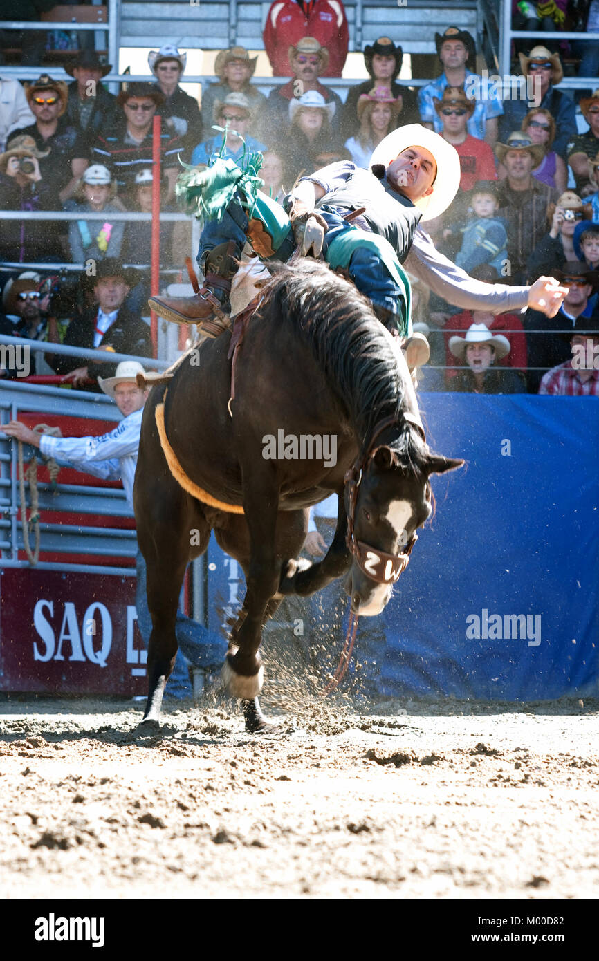 St-Tite, Kanada, 10. September 2011. Cowboy zu Reiten ohne Sattel Konkurrenz an der St-Tite Western Festival. Credit: Mario Beauregard/Alamy leben Nachrichten Stockfoto