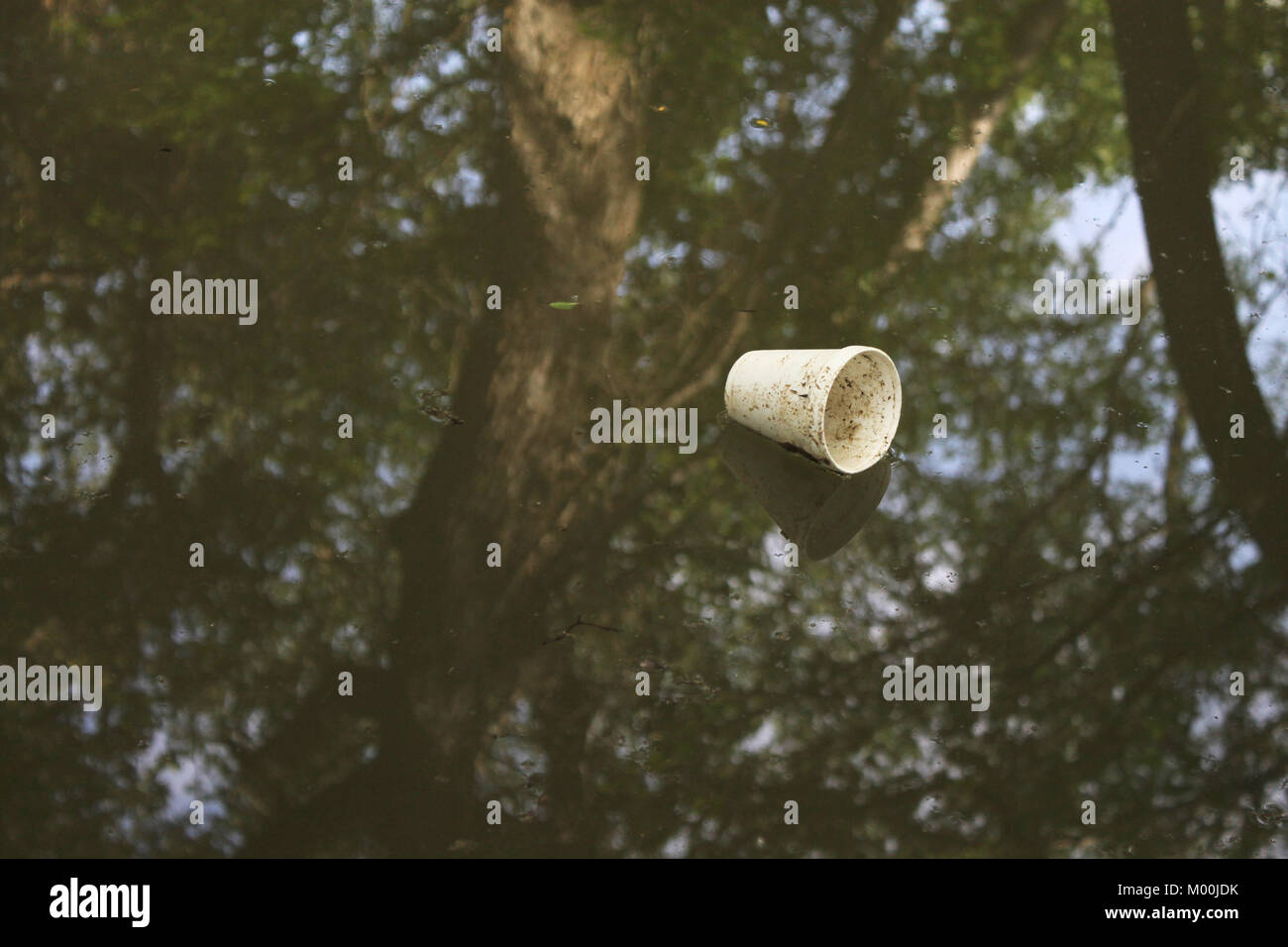 Dieses Bild habe in Grapevine, TX an einem Bach in der Nähe der Highschool. Stockfoto