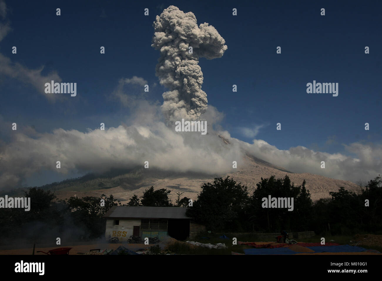 North Sumatra, Indonesien. 18 Jan, 2018. Mount Sinabung spuckt in Karo, Nord Sumatra, Indonesien, 18.01.2018. Der Ausbruch des Mount Sinabung hat ein regelmäßiges Auftreten seit 2010, nachdem es für vier Jahrhunderte ruhenden geblieben. Credit: YT Haryono/Xinhua/Alamy leben Nachrichten Stockfoto