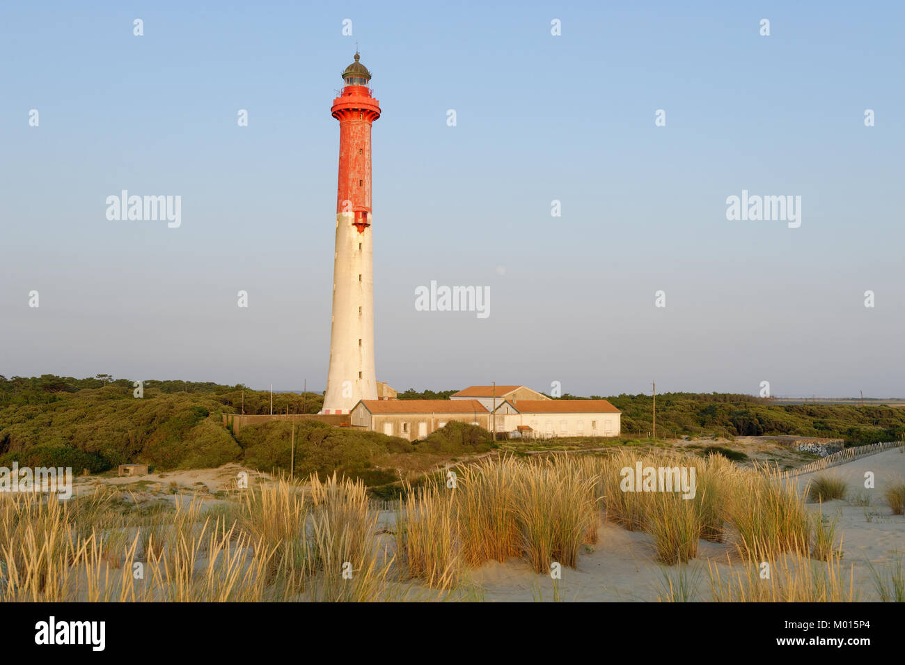 Den Leuchtturm von La Coubre oder Phare de la Coubre, La Tremblade, Frankreich, Stockfoto