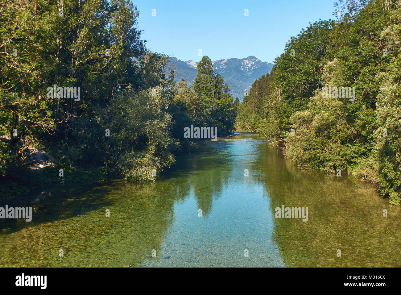 Sava Bohinjka in den slowenischen Alpen Stockfoto