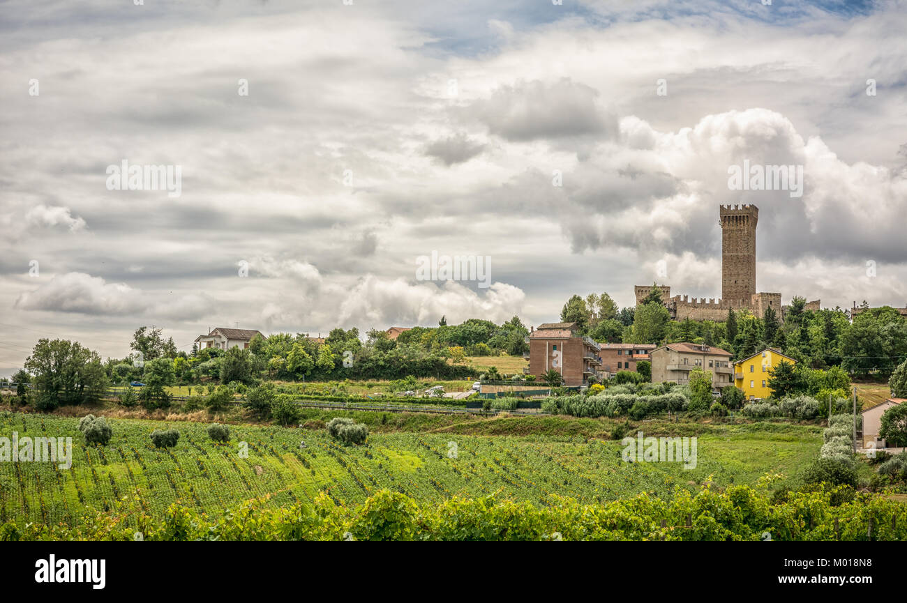 Ländliche Sommer Landschaft mit Weinbergen und Feldern in der Nähe von Porto Recanati in der Region Marche, Italien Stockfoto