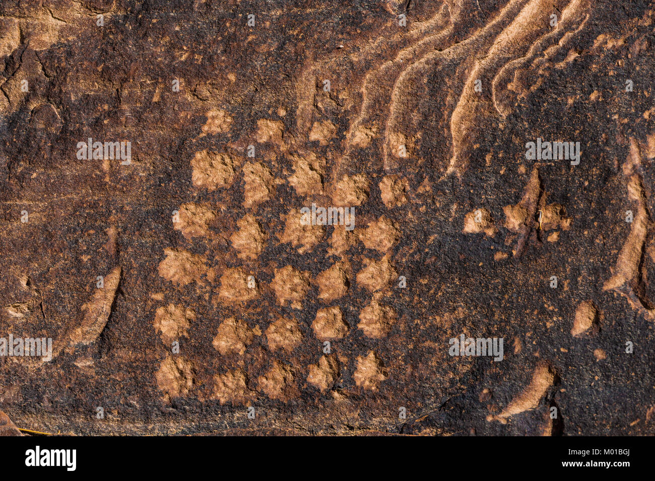 Petroglyph eines abstrakten symbolischen punkteraster von vielleicht unbekannte Bedeutung von einer alten Kultur in Nine Mile Canyon, Utah, USA erstellt Stockfoto