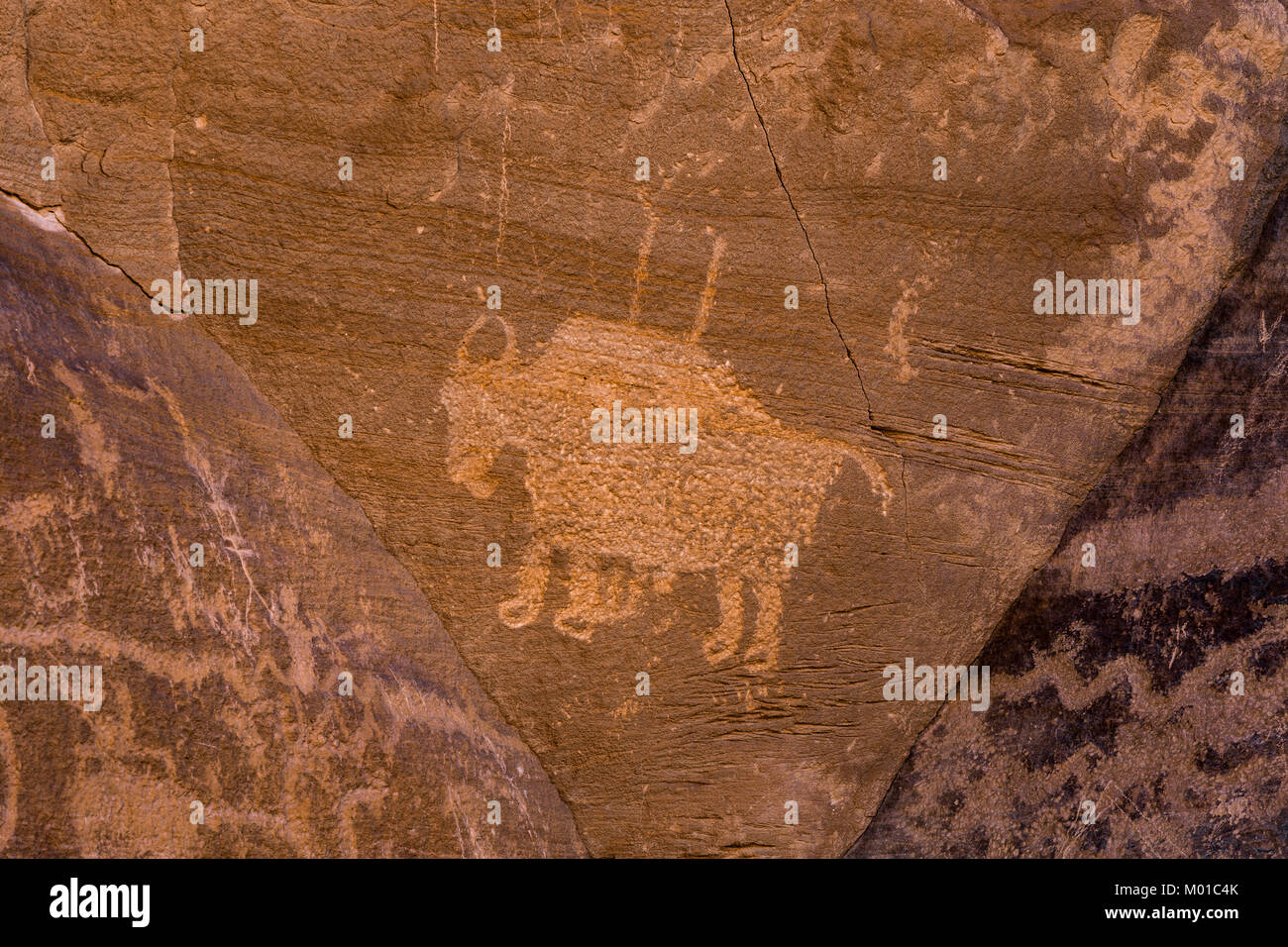 Bison petroglyph in Nine Mile Canyon, Utah, USA Stockfoto