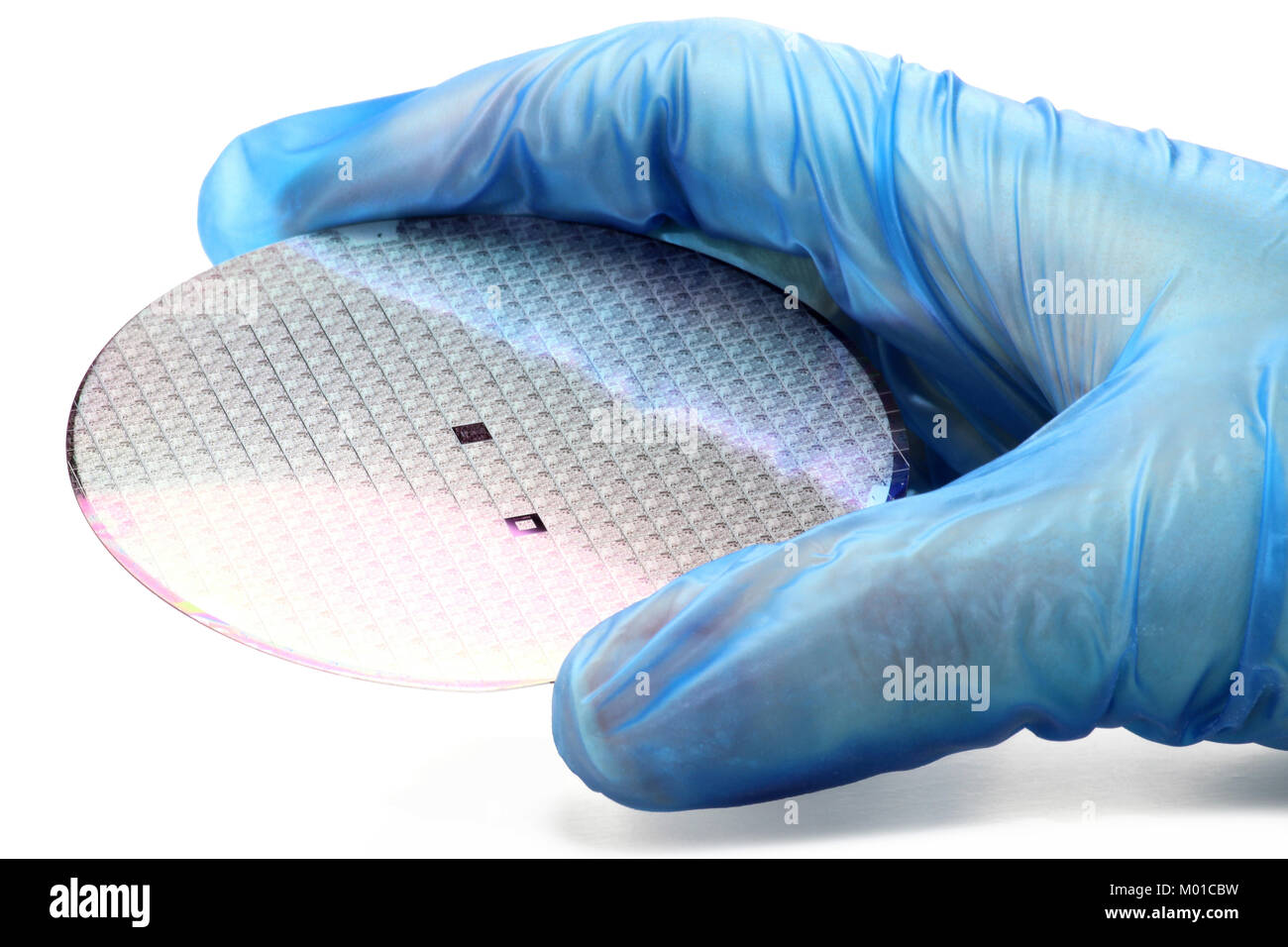 Hand hält eine Silicon Wafer für die Inspektion auf weißem Hintergrund Stockfoto