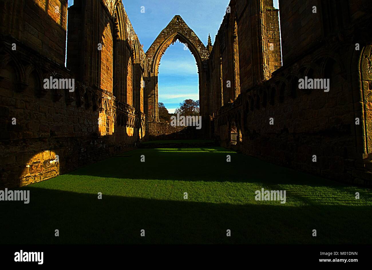 Bolton Abbey. In den Ruinen der Abtei. Yorkshire. UK Stockfotografie