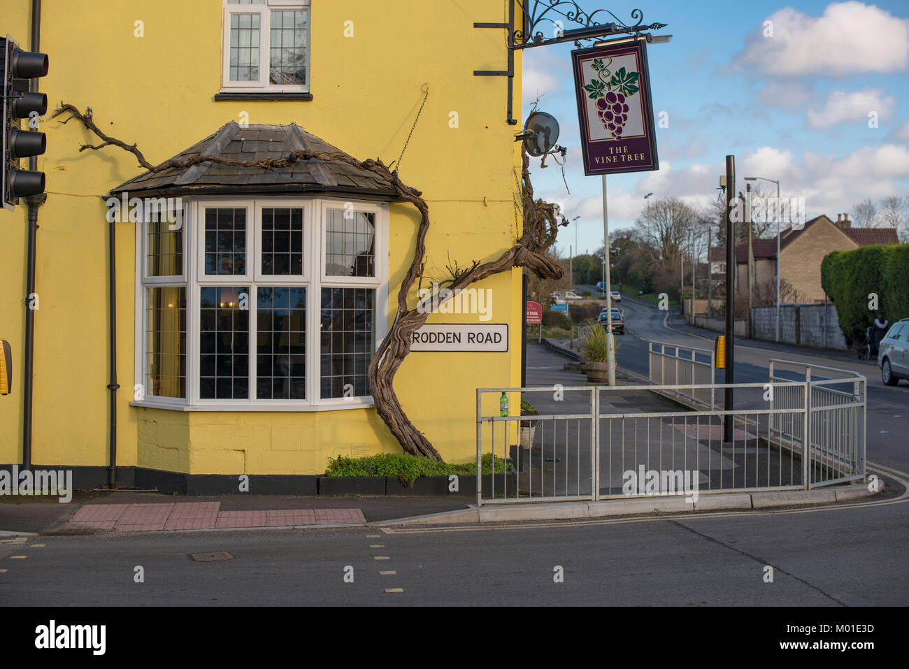 Der Weinstock Tree Restaurant auf rodden Straße in Frome, England Stockfoto