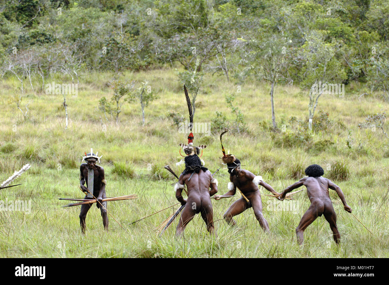 Yali Mabel, der Chef von Dani Stamm und Volk von Dani Stamm Durchführen von Kampf und Kampf den Wiederaufbau. Juli 2009, The Baliem Valley, Indonesisch, Stockfoto