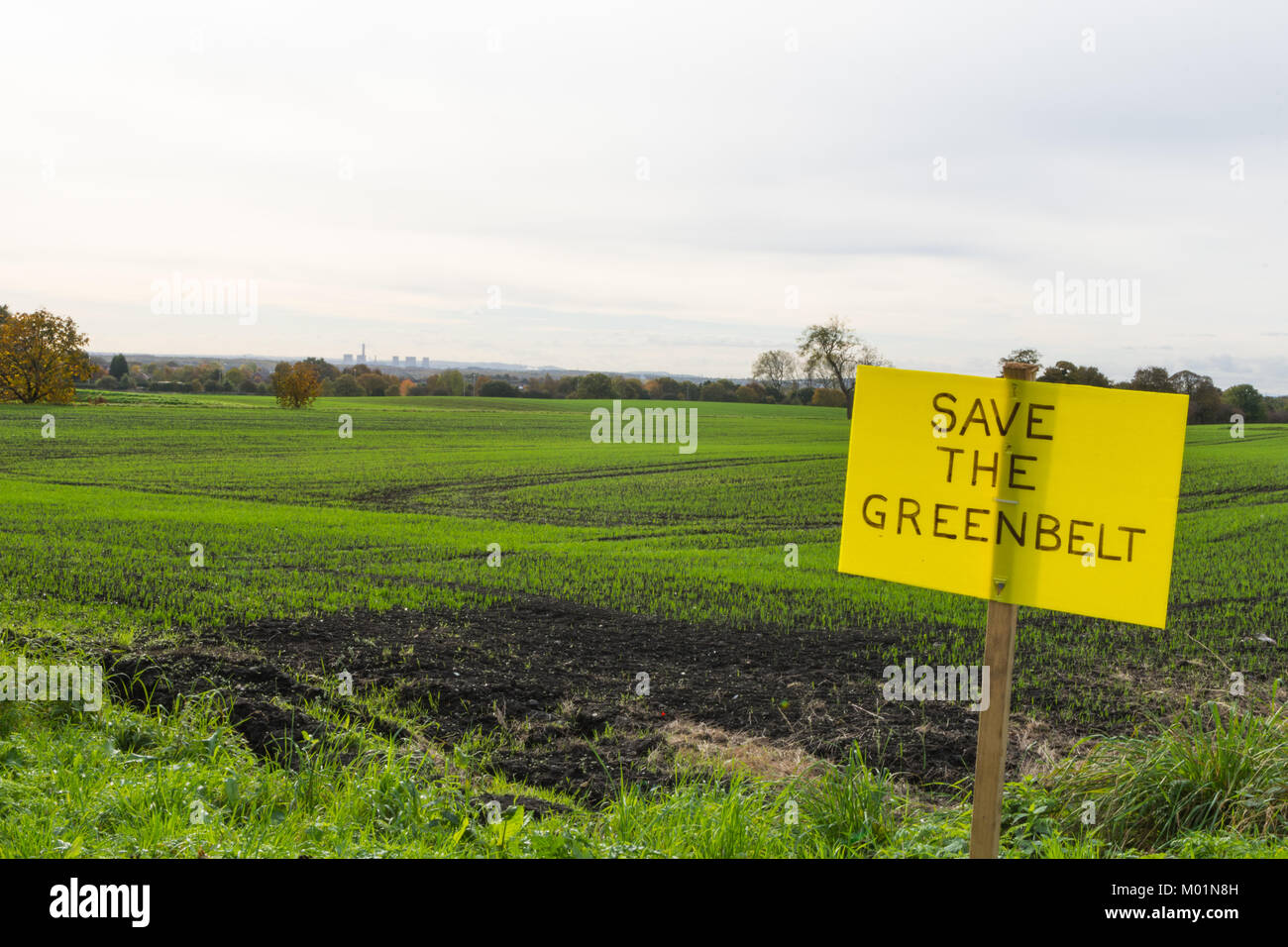 Speichern unsere grünen Gürtel Zeichen neben dem grünen Felder Stockfoto