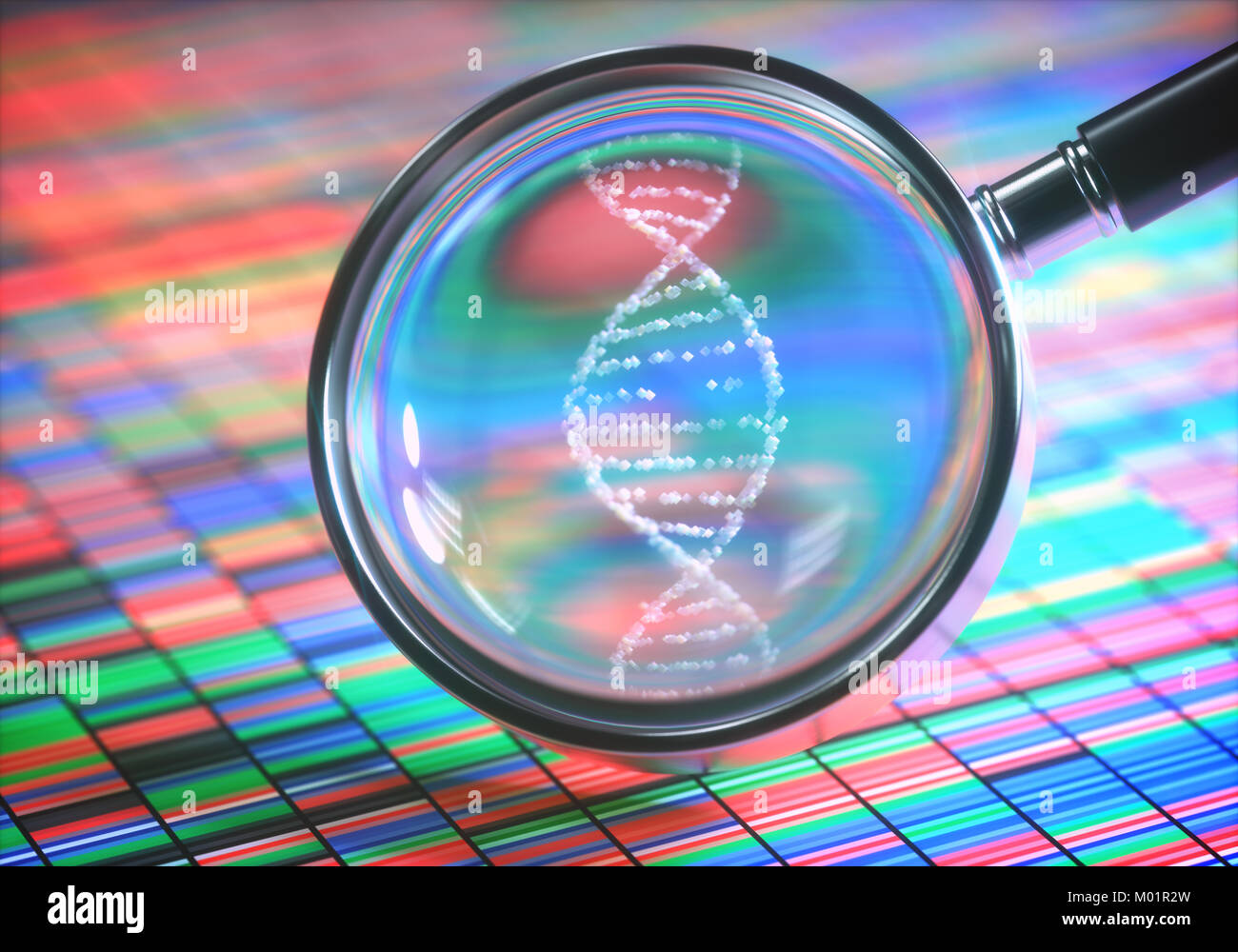 3D-Darstellung. DNA-Sequenzierung nach Sanger und eine Lupe mit der DNA-Helix. Stockfoto