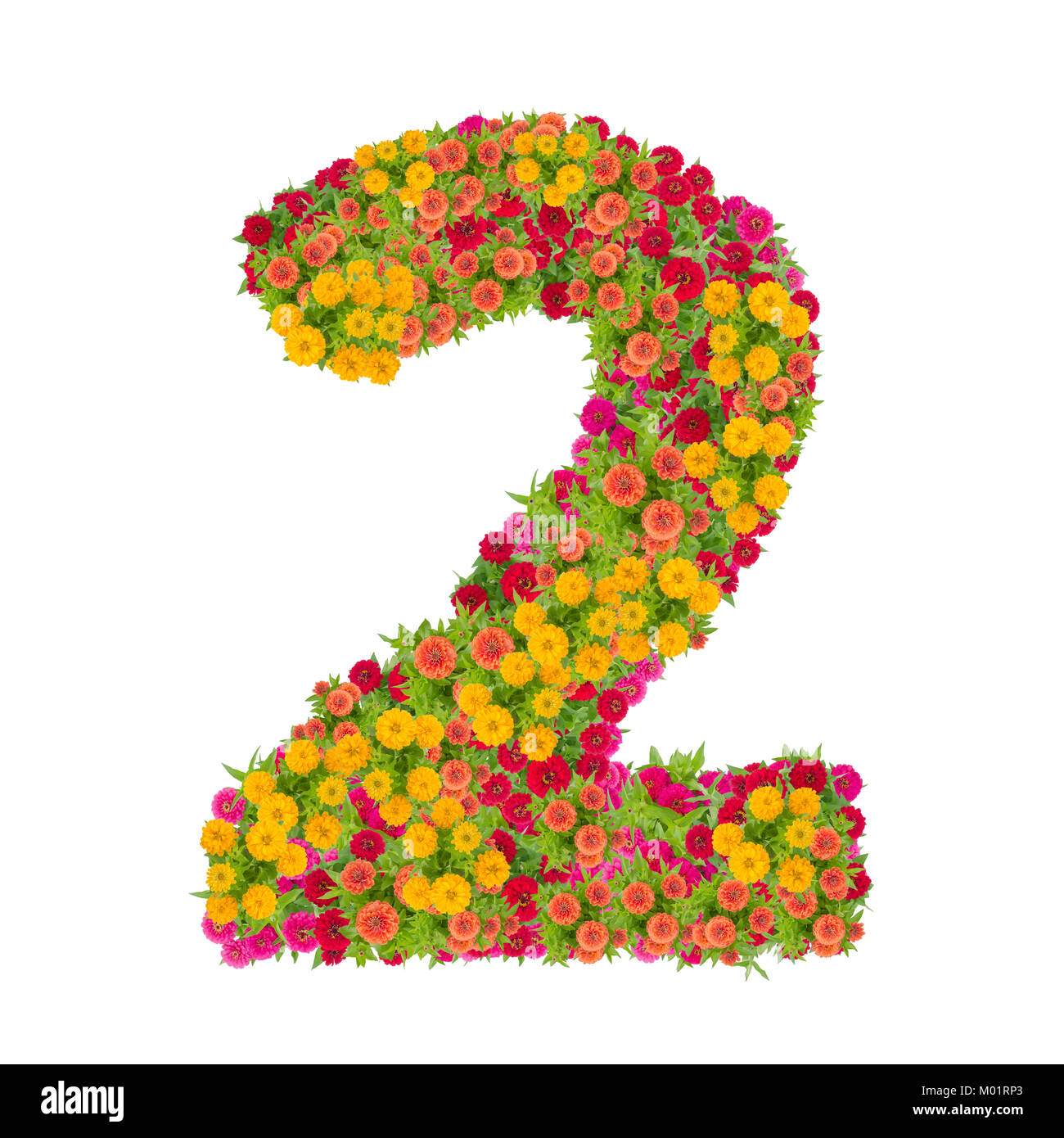 Die Nummer 2 von zinnien Blumen auf weißem Hintergrund gemacht. Farbenfrohe zinnia Blume in Nummer zwei Form mit Freistellungspfad Stockfoto