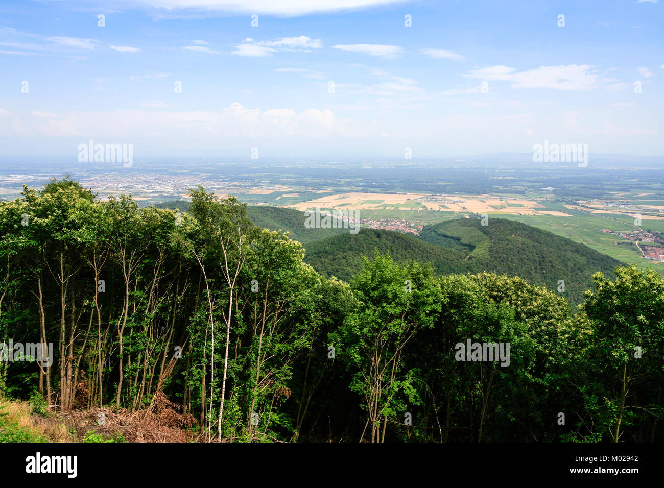 Reisen nach Frankreich - vor Ansicht der Region Elsass in den Vogesen Tal von grün Schwarzwald (Schwarzwald, Foret-Noire) Woodland Stockfoto