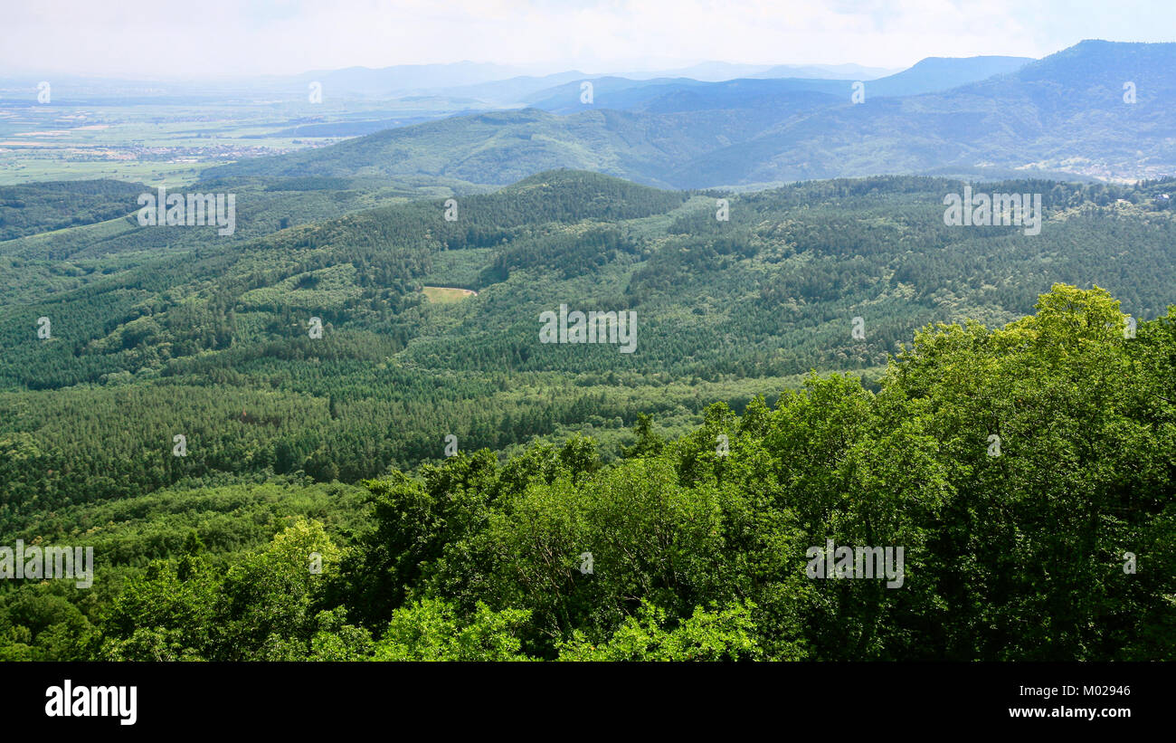 Reisen nach Frankreich - niedrige Berge im Schwarzwald (Schwarzwald, Foret-Noire) Wald in den Vogesen im Elsass Stockfoto