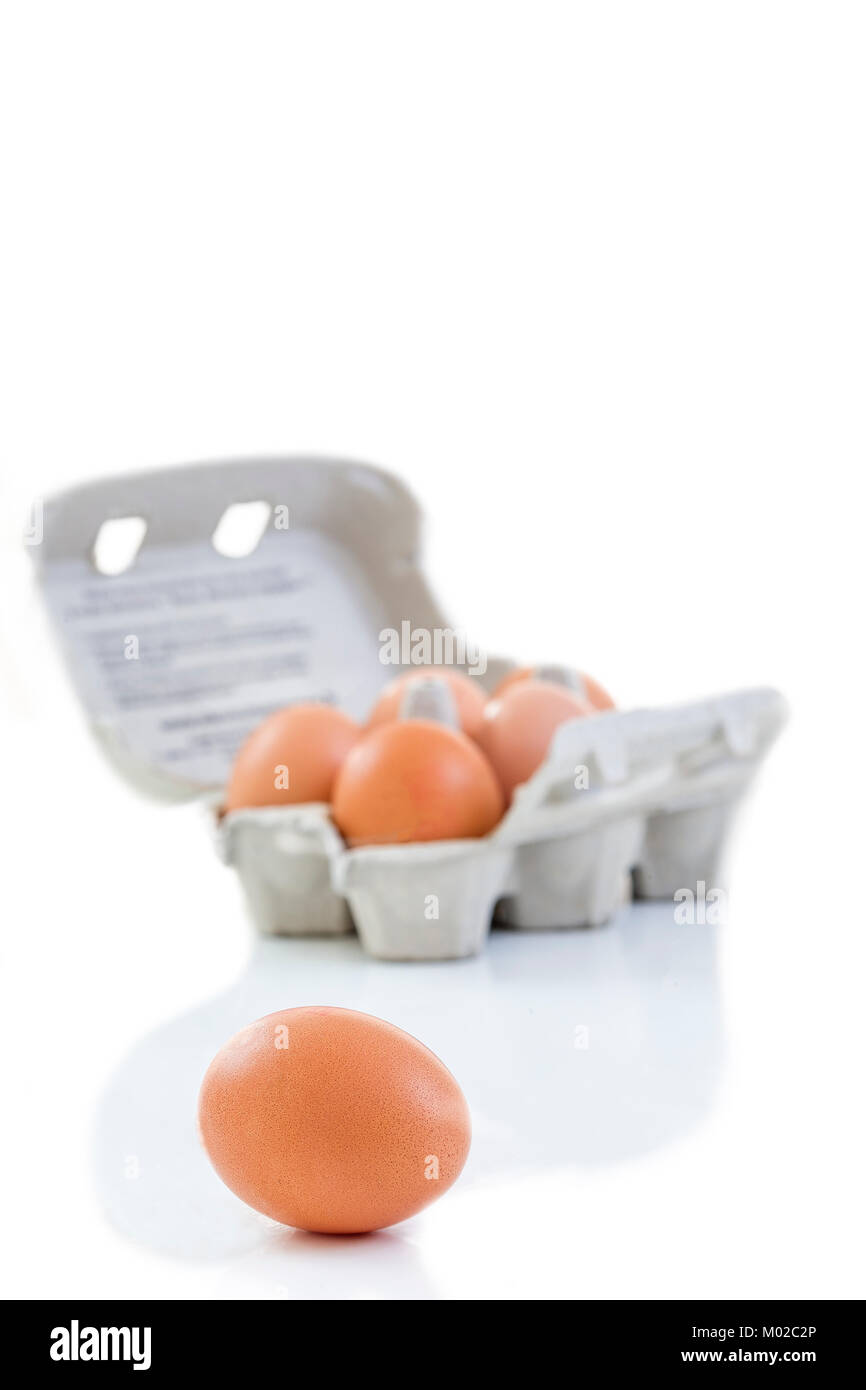 Nahaufnahme von einem offenen recycelbar ei Karton mit 5 Eiern innerhalb und ein Ei weiter, um es auf einem weißen Hintergrund ökologisch gesunden Lebensmitteln aus der Bio Landwirtschaft. Stockfoto