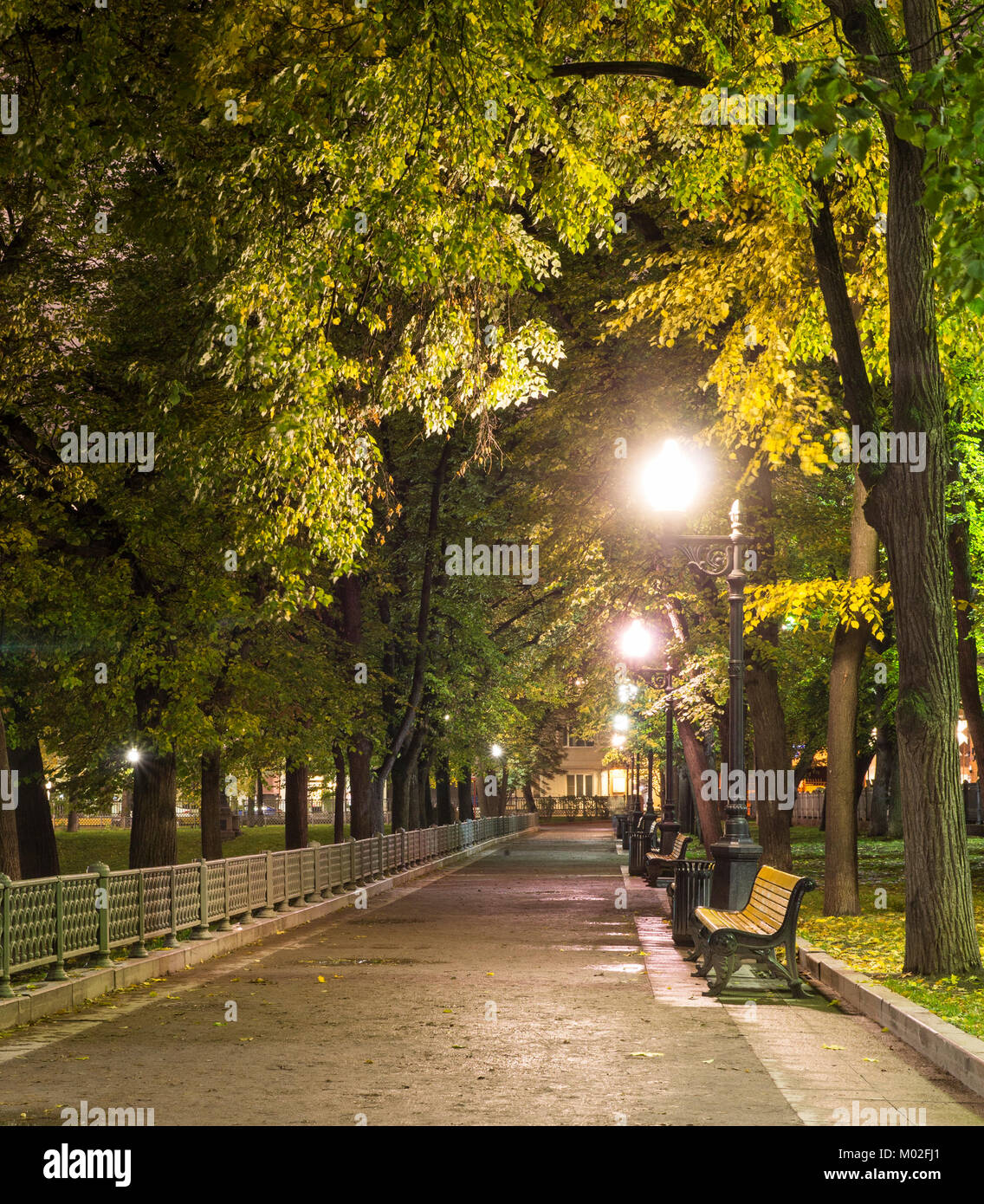 Park Alley nach Regen im Herbst Nacht. Hintergrund Stockfoto