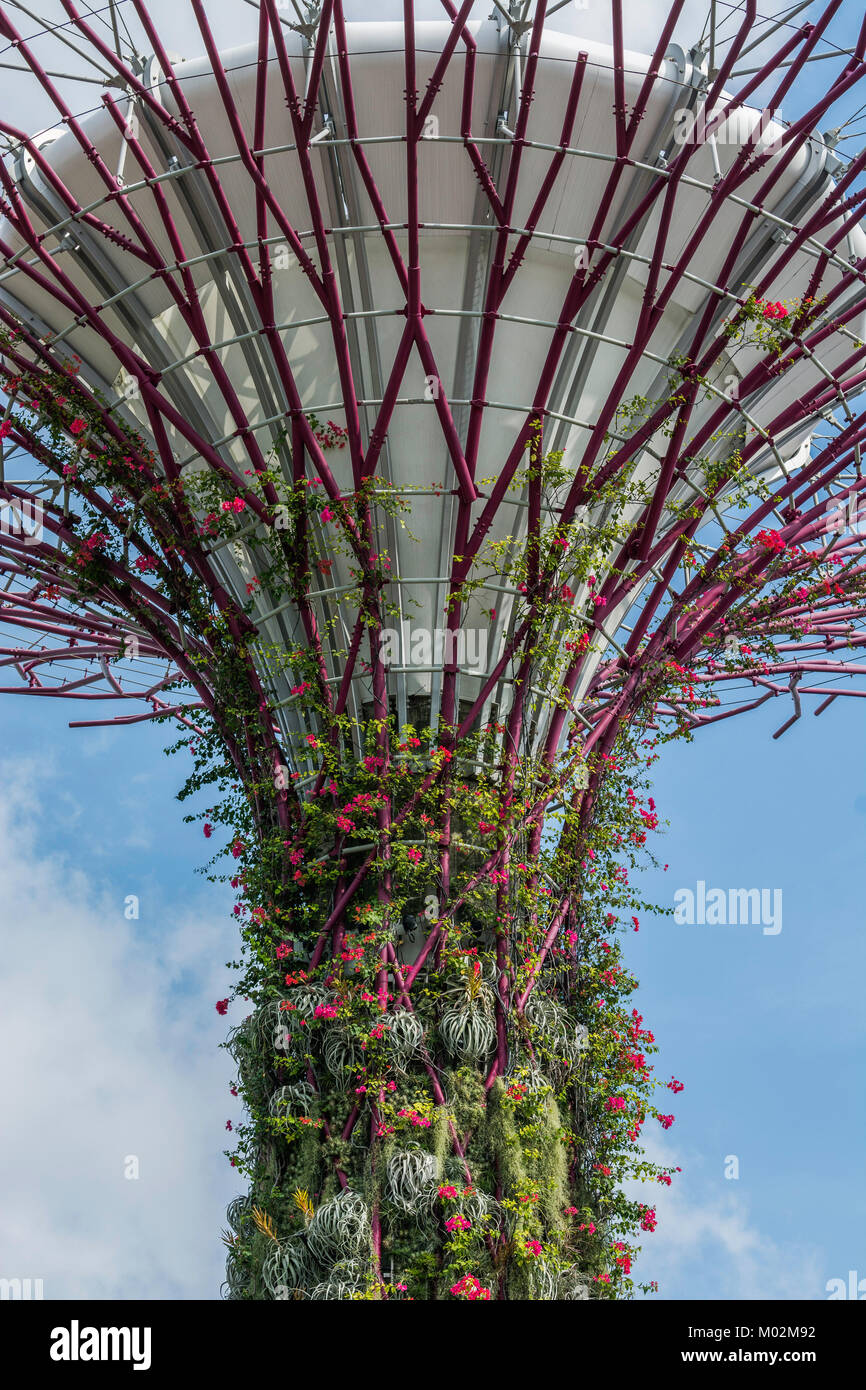 Gardens by the Bay, Marina Bay, Singapore Stockfoto