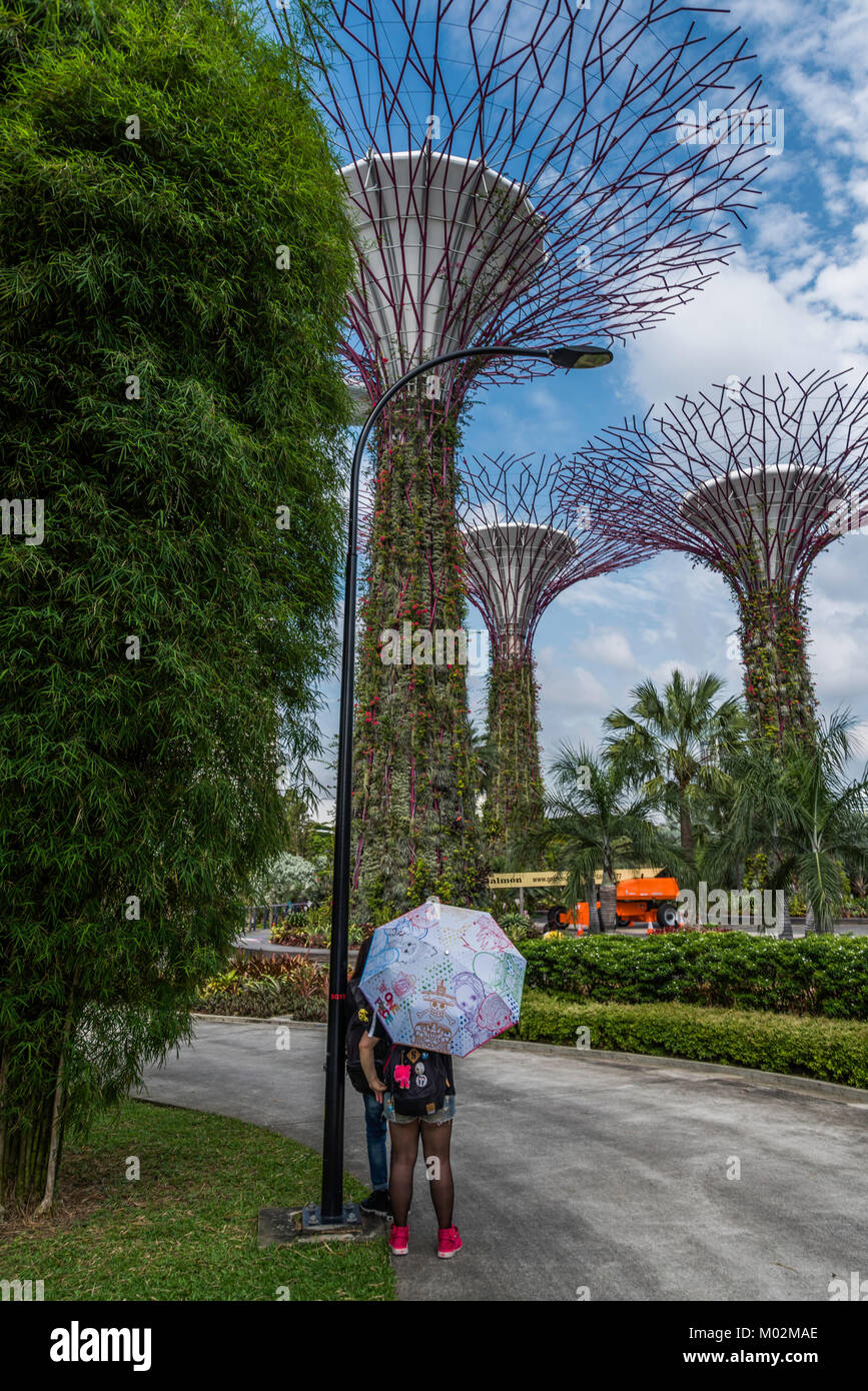 Gardens by the Bay, Marina Bay, Singapore Stockfoto