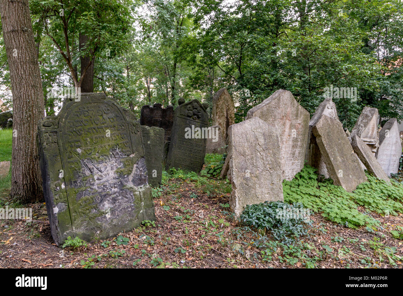 Tausende von schiefen Grabsteine auf dem Alten Jüdischen Friedhof, Prag, Tschechische Republik Stockfoto