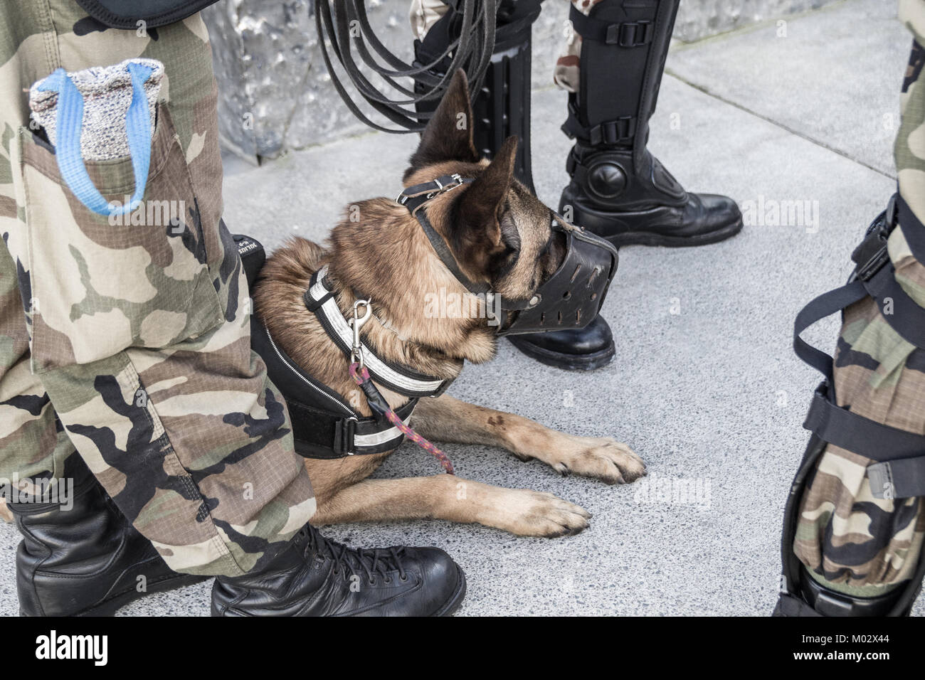 Militärisches Personal mit Sniffer Hund. Spanien Stockfoto