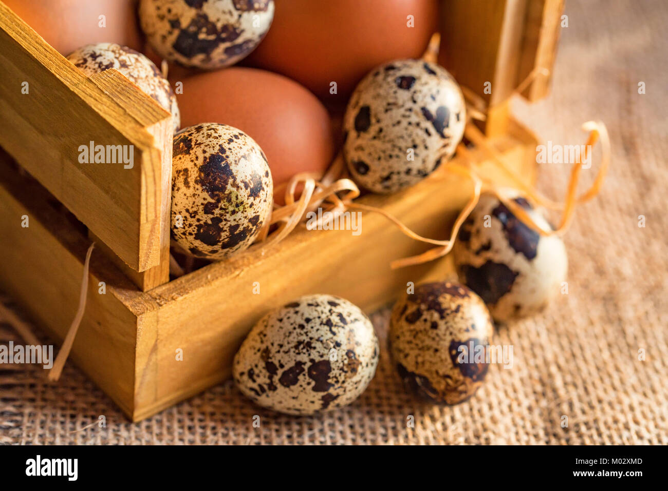 Frischen landwirtschaftlichen braune Eier auf rustikalen Hintergrund Stockfoto