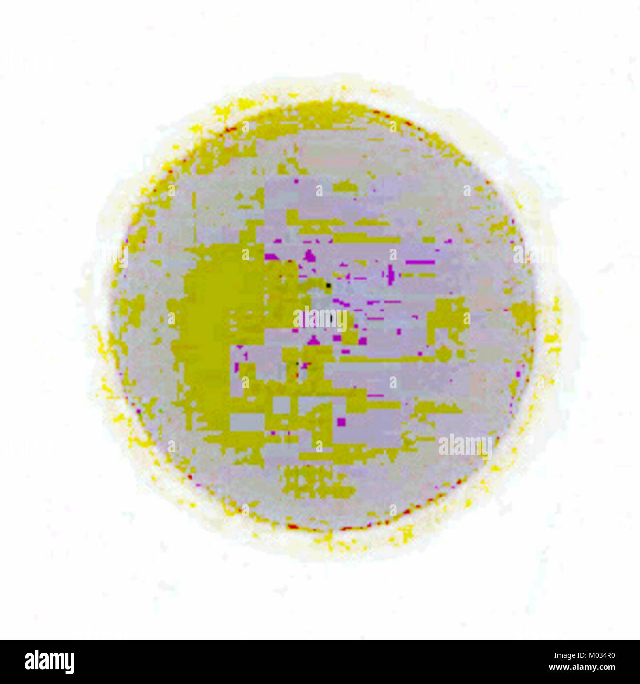 Ein Rohfoto einer Brücke, aufgenommen mit einer ISO-Norm von 100, die die Struktur in ihrer natürlichen Beleuchtung und Umgebung zeigt. Das Foto unterstreicht die Details und Textur des Designs des bridgeâ. Stockfoto
