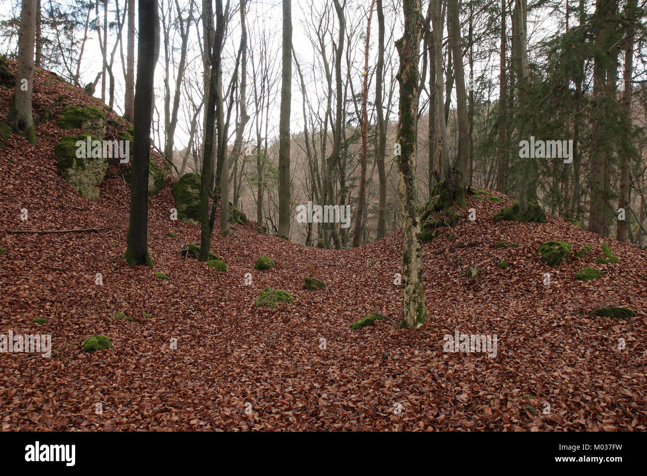 Der Burgstall altes Schloss in Affalterthal ist eine historische Burgruine. Bekannt für ihre mittelalterlichen Ursprünge, ist die Burg ein Ort von historischem Interesse und bietet einen Einblick in die feudale Vergangenheit der Region. Stockfoto