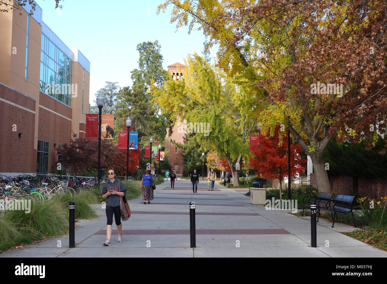 Ein Foto der California State University, Chico, das den Campus, die Architektur und das Bildungsumfeld hervorhebt. Stockfoto