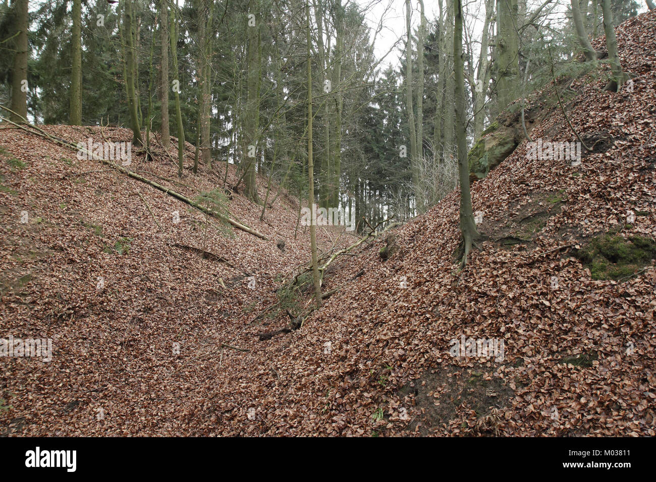 Burgstall Stauf ist eine archäologische Stätte in Deutschland, die für ihre historischen Ruinen bekannt ist. Sie repräsentiert die Überreste einer mittelalterlichen Burg und ihre Rolle in der feudalen Geschichte der Region. Stockfoto