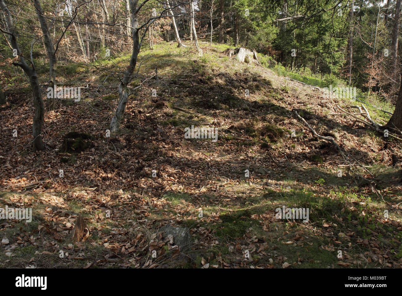 Der Burgstall Lichteburg ist der Standort einer mittelalterlichen Burgruine in Deutschland, die einen Einblick in die feudale Vergangenheit und Architektur der Region bietet. Stockfoto