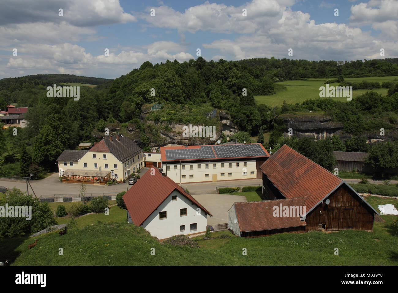 Ein Bild der Burgruine Steinamwasser 10, einer mittelalterlichen Burgruine in Österreich, mit Überresten von Steinmauern und einem Turm in natürlicher Umgebung. Stockfoto