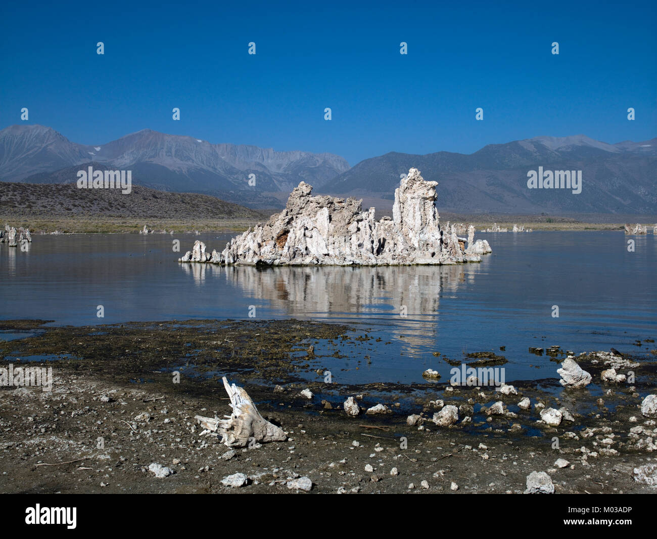 Mono Lake, Kalifornien Stockfoto