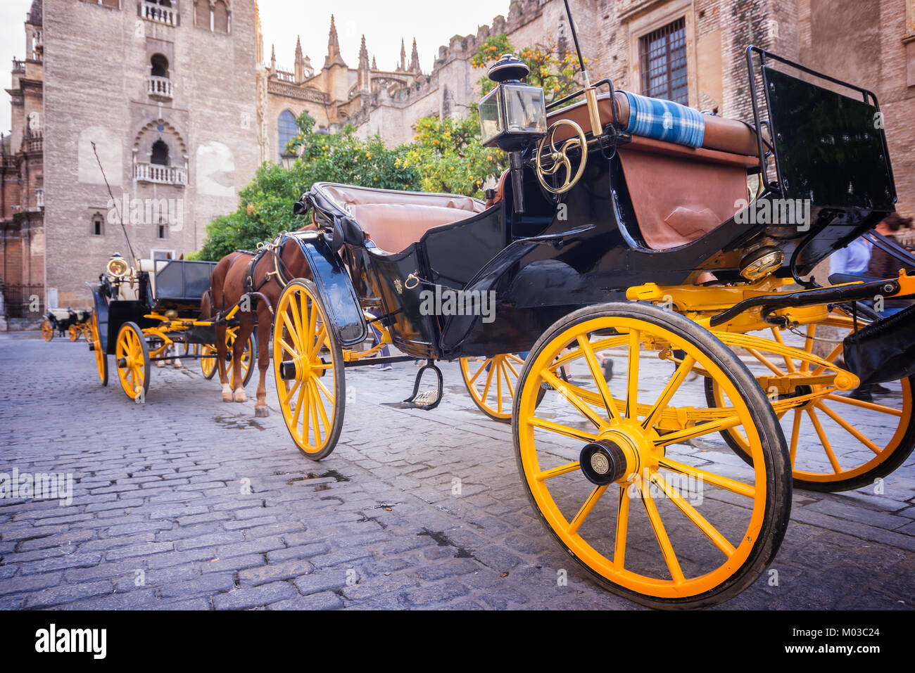 Pferdekutsche in Sevilla in der Nähe der Giralda Kathedrale, Andalusien, Spanien Stockfoto