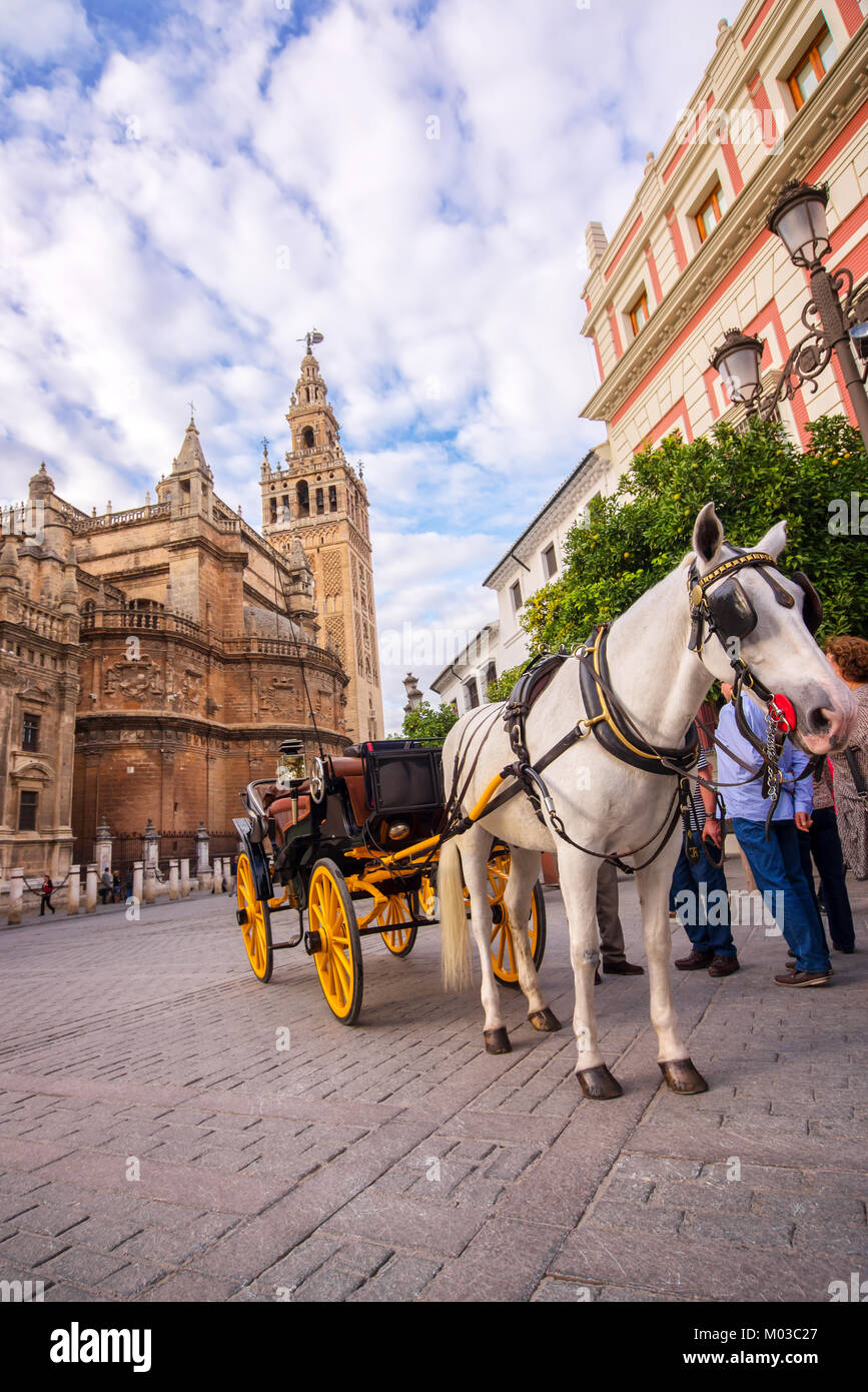 Pferdekutsche in Sevilla, der Giralda Kathedrale im Hintergrund, Andalusien, Spanien Stockfoto