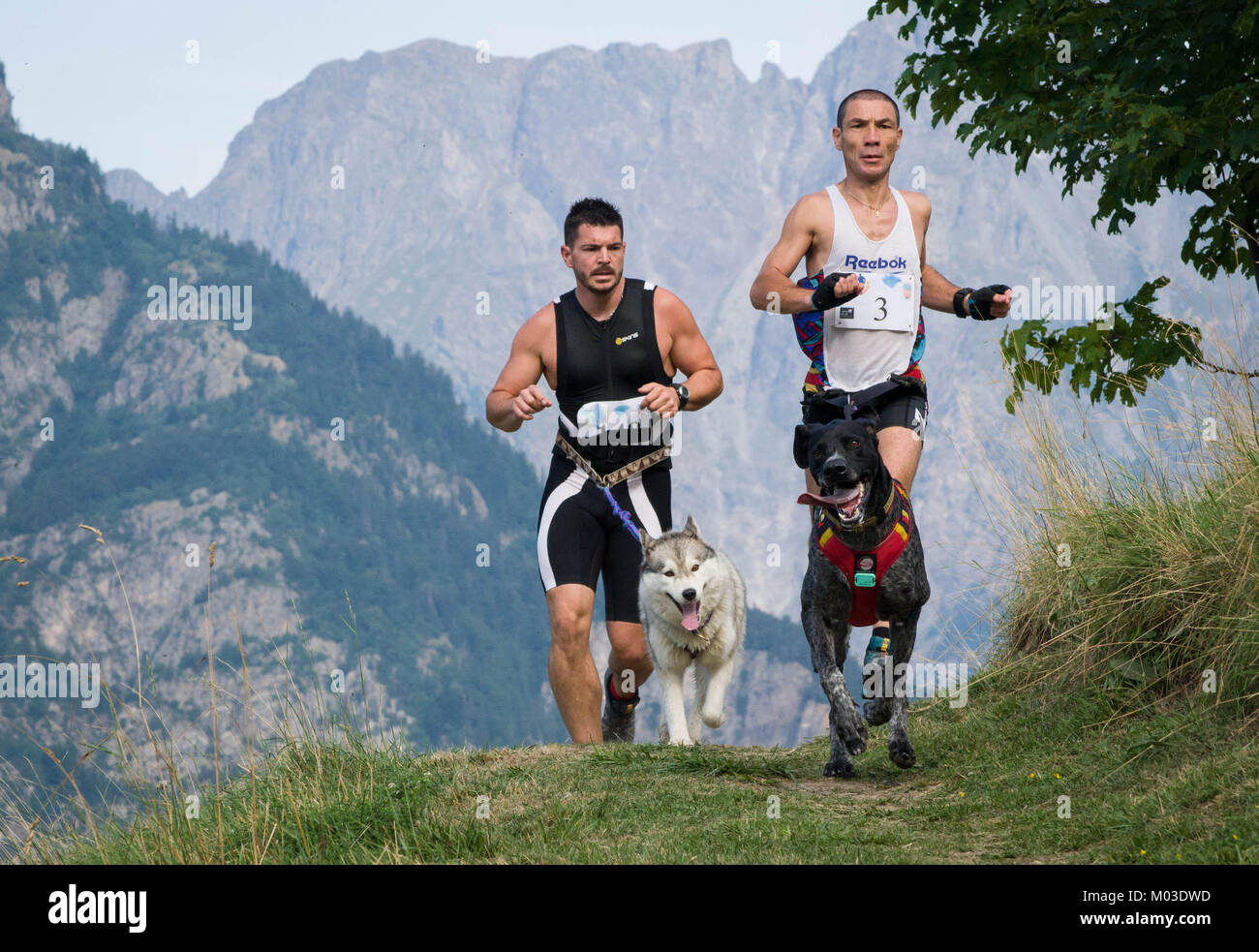 Frankreich, Villard Reculas. AUGUST, 2015: zwei Konkurrenten, die mit Hunde auf dem Weg in Rhones Alpes, Trophee des Montagnes, das härteste Rennen Canicross Stockfoto