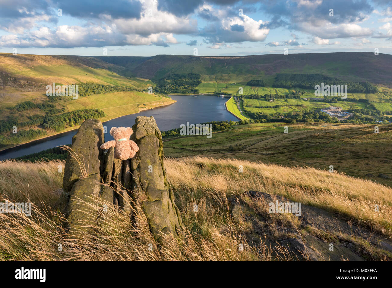 Teddy umarmt Felsenlandschaft Stockfoto