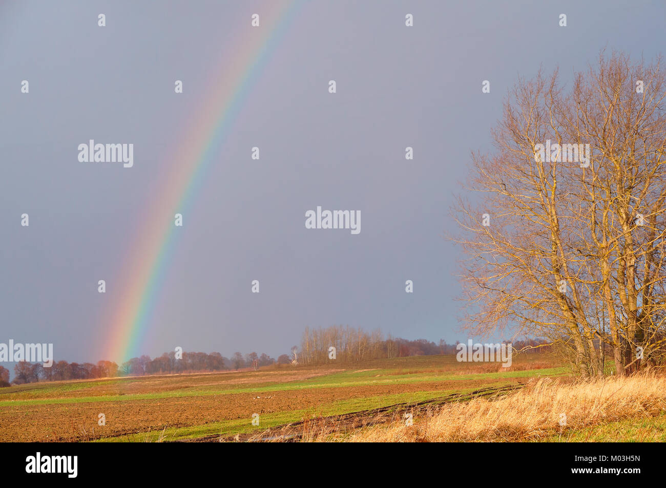 Regenbogen in einem Feld, die Atmosphäre ist Rainbow Nach dem Regen Stockfoto